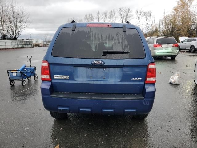 2008 Ford Escape XLT