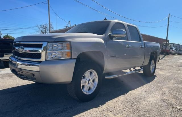 2007 Chevrolet Silverado C1500 Crew Cab