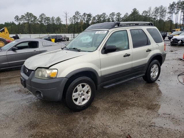 2005 Ford Escape XLT