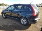 2007 Honda CR-V EXL