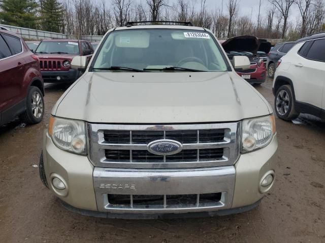 2010 Ford Escape Limited