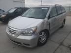 2005 Honda Odyssey EXL