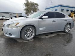 Salvage cars for sale at Albuquerque, NM auction: 2010 Nissan Maxima S