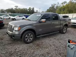 Salvage trucks for sale at Riverview, FL auction: 2012 Ford F150 Supercrew