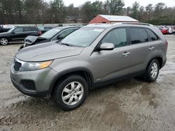 KIA Sorento Vehiculos salvage en venta: 2012 KIA Sorento Base