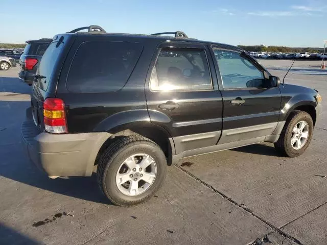 2007 Ford Escape XLT