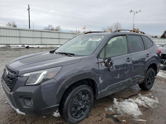 2023 Subaru Forester Wilderness