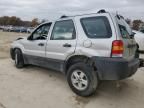 2007 Ford Escape XLS