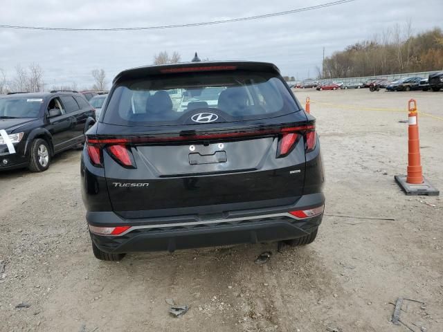 2024 Hyundai Tucson SE