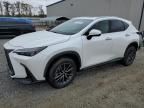 2025 Lexus NX 250 Premium