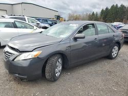 Salvage cars for sale at Leroy, NY auction: 2009 Toyota Camry Base