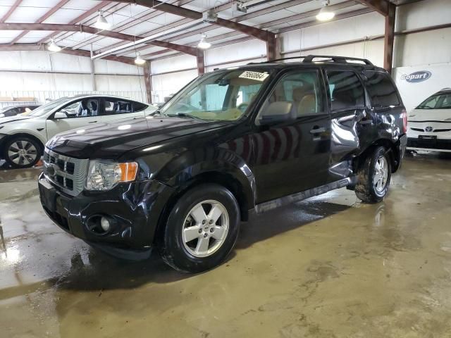 2010 Ford Escape XLT