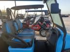 2024 Bintelli Golfcart