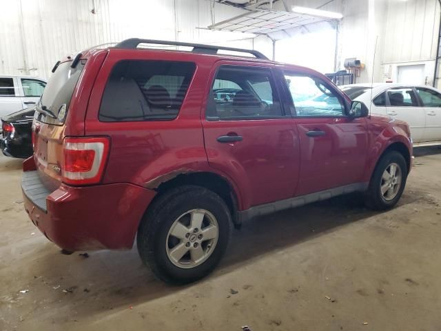 2009 Ford Escape XLT