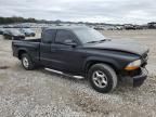 2002 Dodge Dakota Base