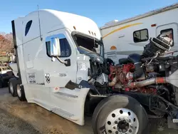 Freightliner Vehiculos salvage en venta: 2013 Freightliner Cascadia 125