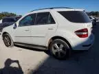 2009 Mercedes-Benz ML 350