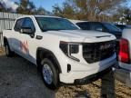 2024 GMC Sierra K1500 Elevation