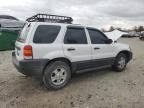 2004 Ford Escape XLT