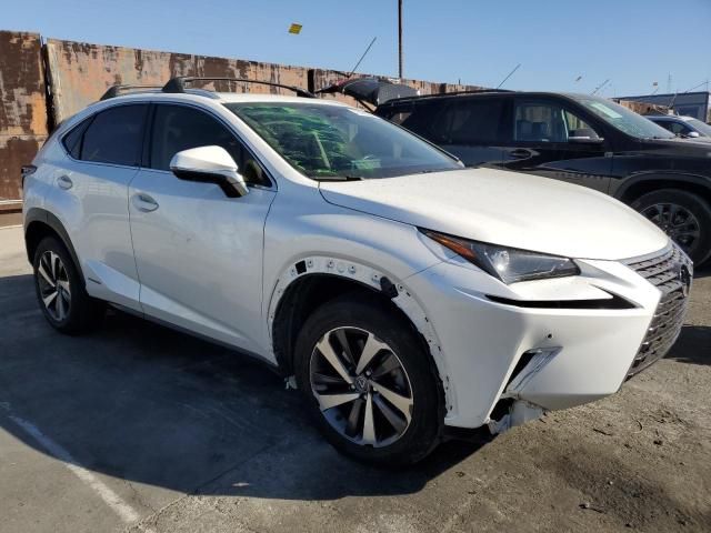 2019 Lexus NX 300H