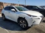 2019 Lexus NX 300H