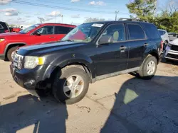 Ford Vehiculos salvage en venta: 2009 Ford Escape XLT