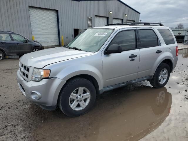 2010 Ford Escape Hybrid