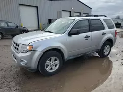 Salvage cars for sale from Copart Central Square, NY: 2010 Ford Escape Hybrid