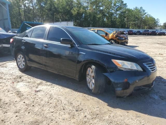 2009 Toyota Camry Hybrid