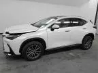 2025 Lexus NX 350H Base