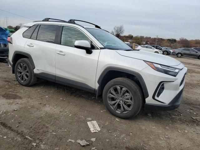 2024 Toyota Rav4 XLE Premium