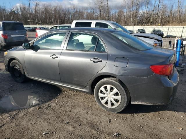 2010 Toyota Corolla Base