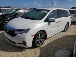 Honda Odyssey Touring Vehiculos salvage en venta: 2024 Honda Odyssey Touring