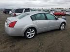 2006 Nissan Maxima SE