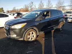 Ford salvage cars for sale: 2013 Ford Escape SE