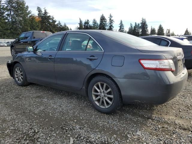 2010 Toyota Camry Hybrid