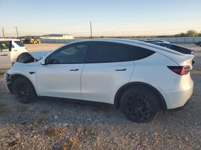 2020 Tesla Model Y