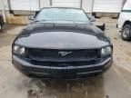 2005 Ford Mustang