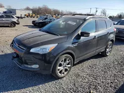 Salvage cars for sale at Hillsborough, NJ auction: 2015 Ford Escape Titanium