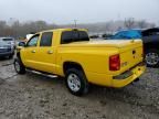 2007 Dodge Dakota Quad SLT