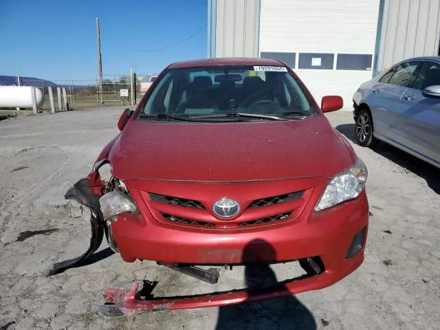 2011 Toyota Corolla Base