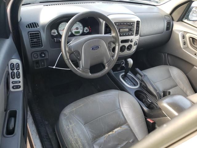 2006 Ford Escape XLT