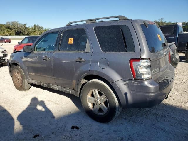 2008 Ford Escape HEV