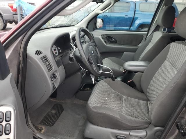 2003 Ford Escape XLT