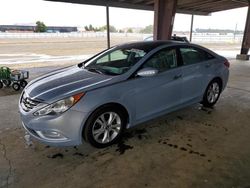 Salvage cars for sale at American Canyon, CA auction: 2013 Hyundai Sonata SE