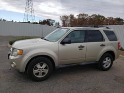 Salvage cars for sale at Glassboro, NJ auction: 2012 Ford Escape XLT