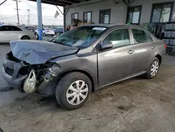 Salvage cars for sale at Los Angeles, CA auction: 2010 Toyota Corolla Base