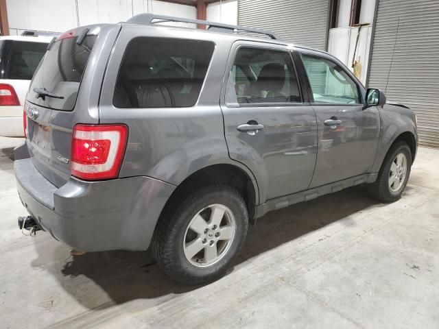 2009 Ford Escape XLT