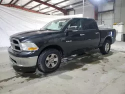 Dodge salvage cars for sale: 2010 Dodge RAM 1500