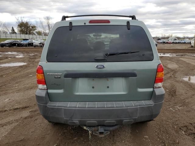 2005 Ford Escape XLT